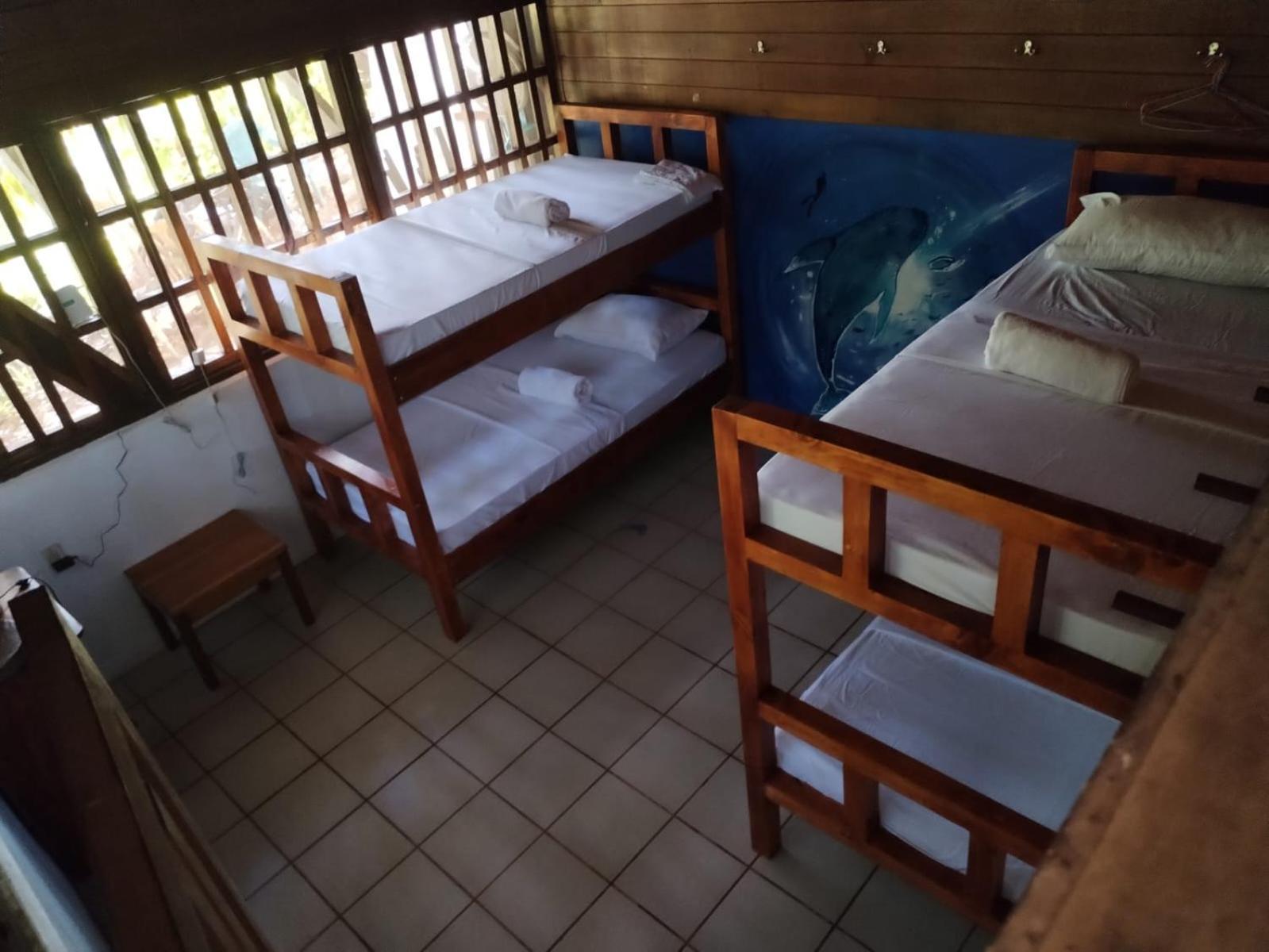 Pirate Drake Beach Hostel & Tour Company Drakes Bay Extérieur photo